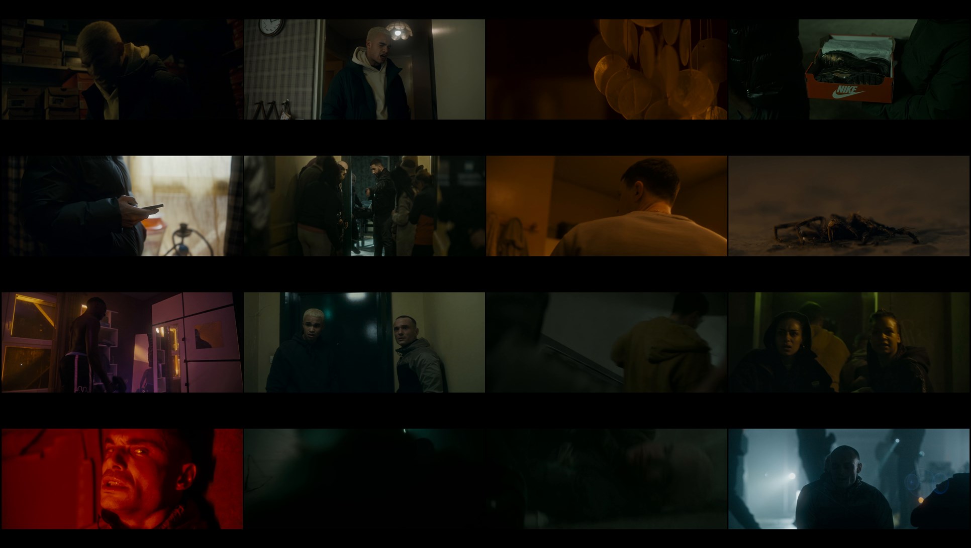 Download Spiders Web (2024) Movie Screenshots