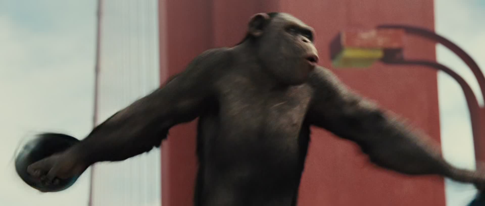 Download Rise of the Planet of the Apes (2011) Movie