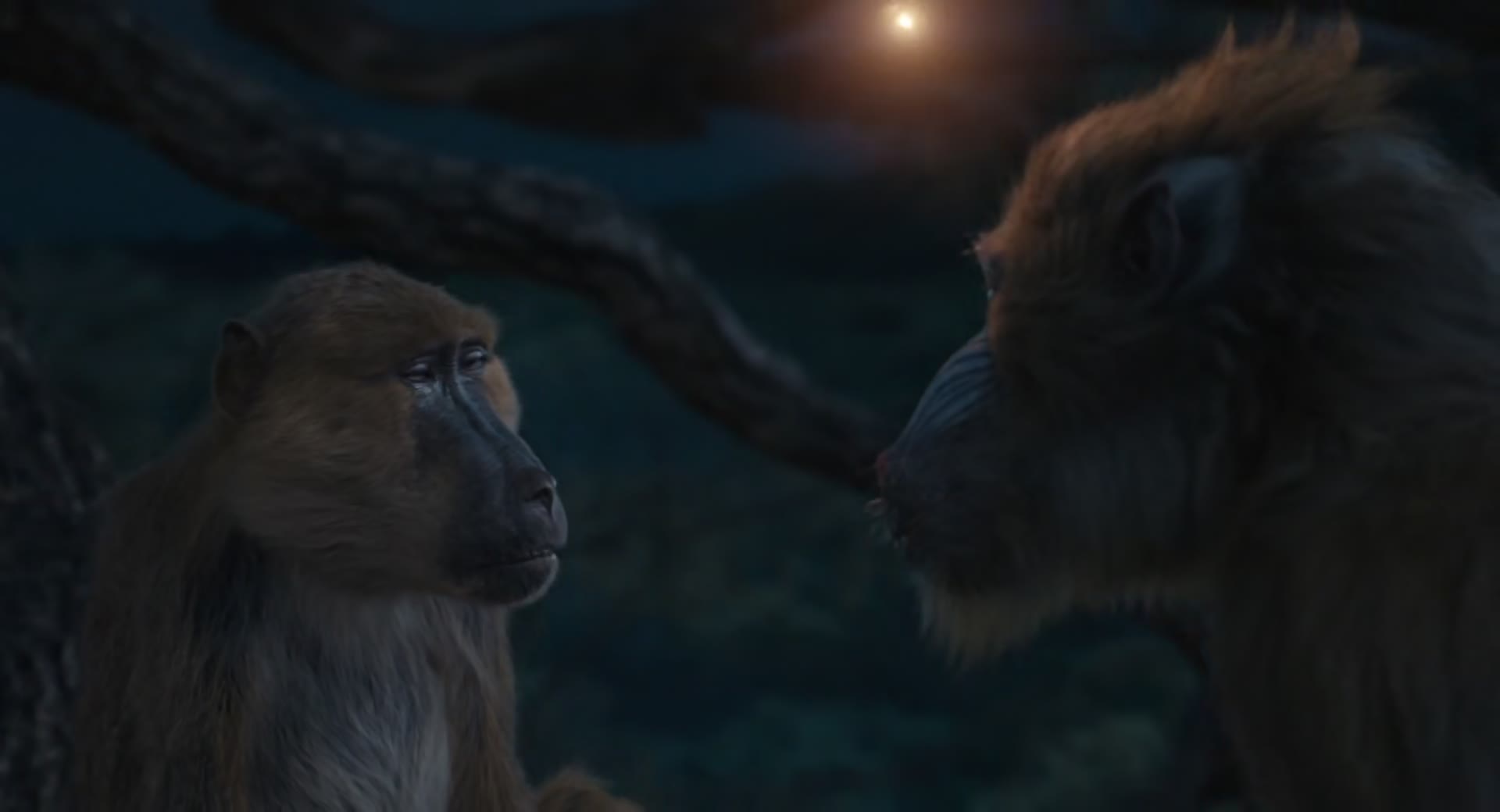 Download Mufasa: The Lion King (2024) Movie