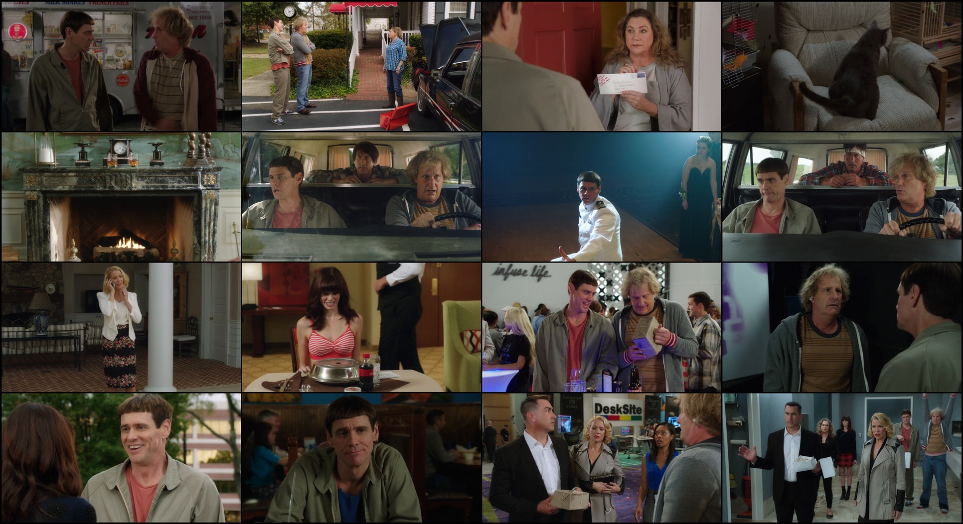 Download Dumb and Dumber To (2014) Movie Screenshots