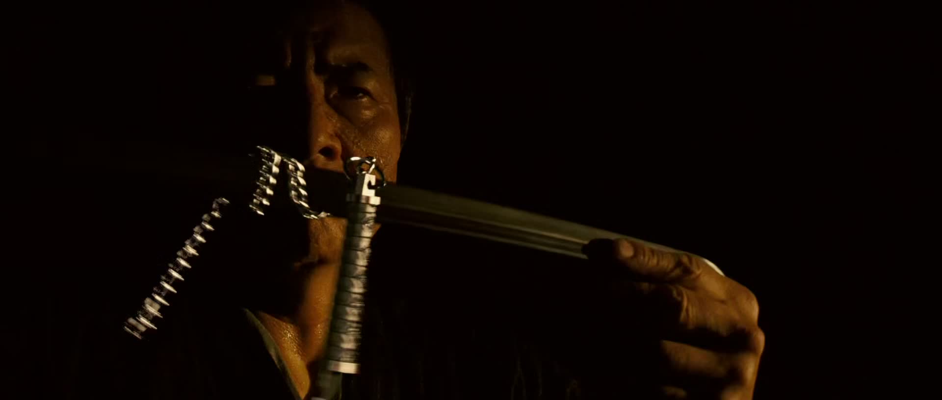 Download Ninja Assassin (2009) Movie