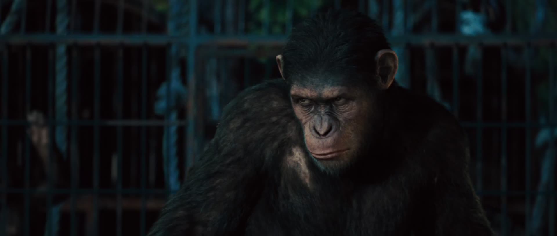 Download Rise of the Planet of the Apes (2011) Movie