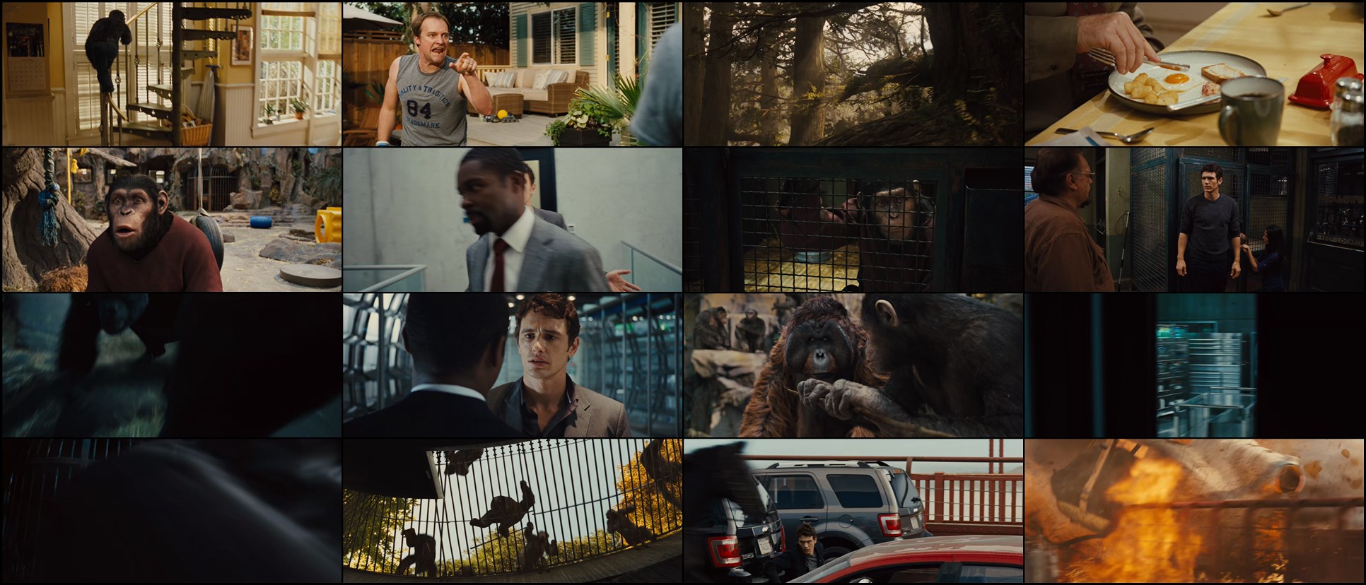 Download Rise of the Planet of the Apes (2011) Movie Screenshots
