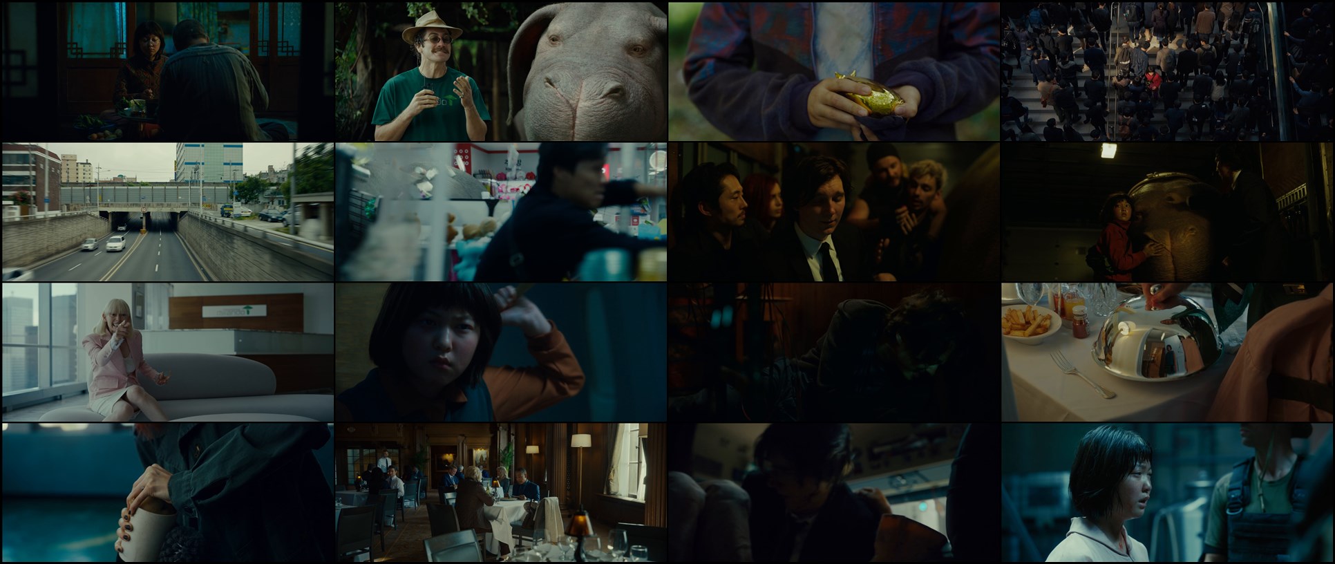 Download Okja (2017) Movie Screenshots