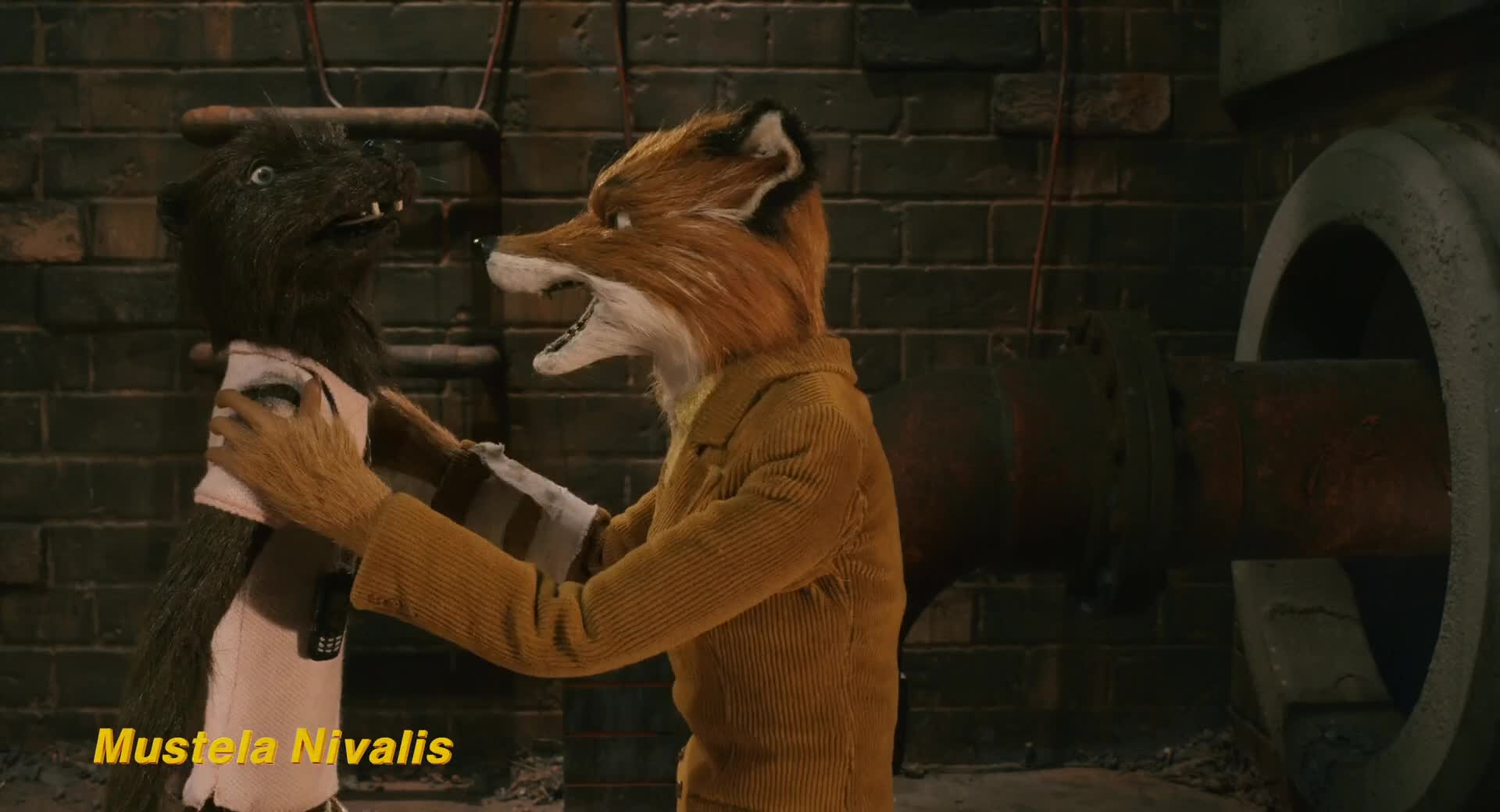 Download Fantastic Mr. Fox (2009) Movie