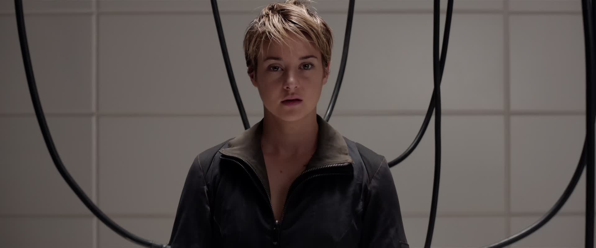 Download Insurgent (2015) Movie