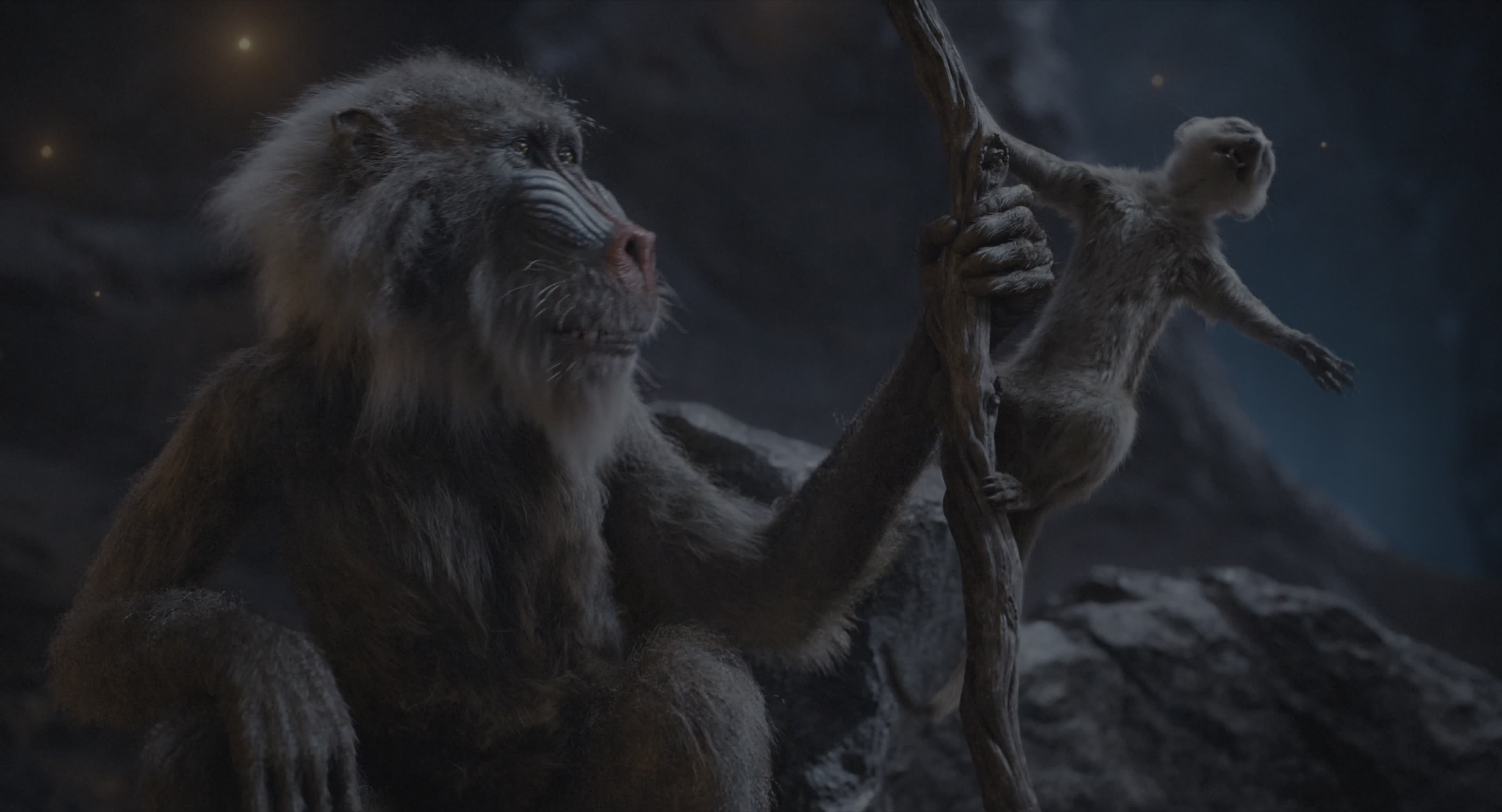 Download Mufasa: The Lion King (2024) Movie