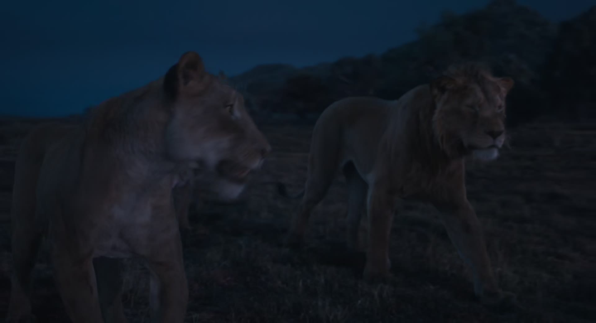 Download Mufasa: The Lion King (2024) Movie