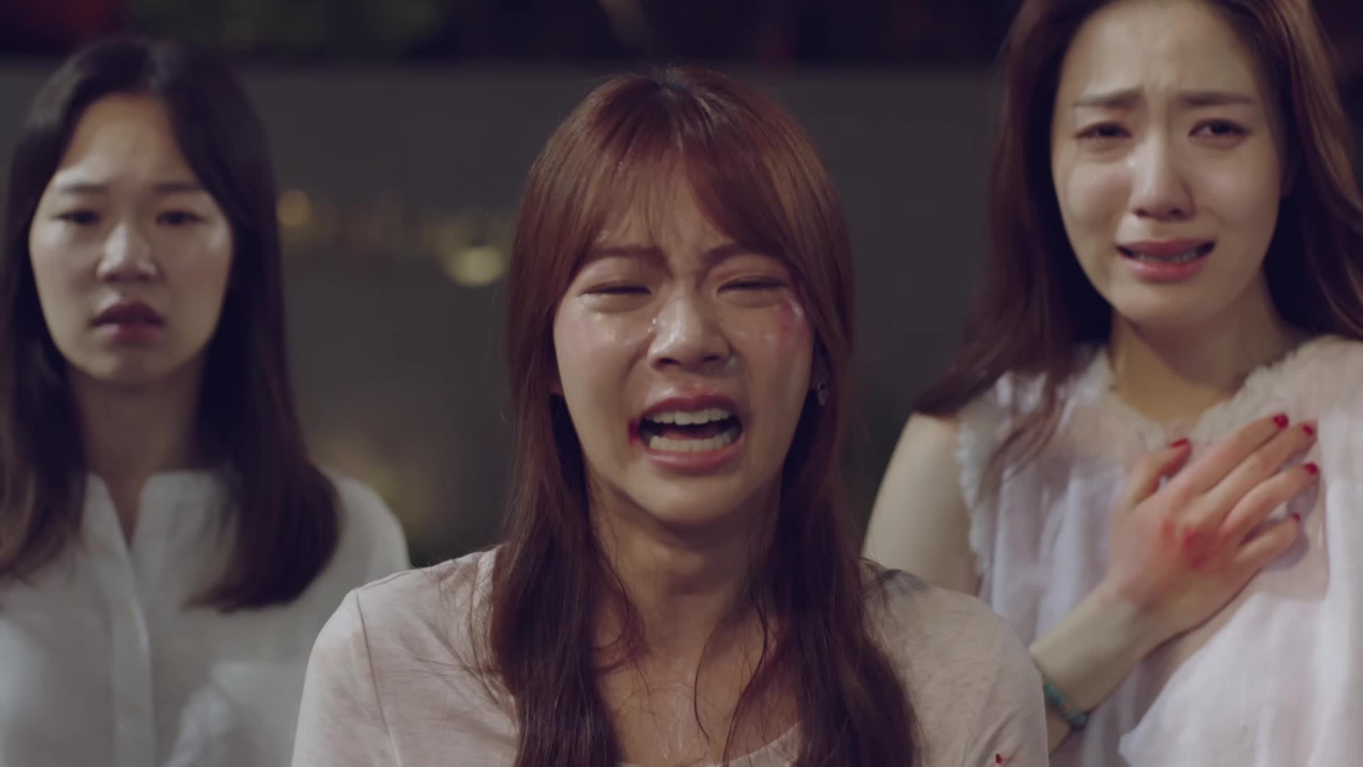 Download Hello, My Twenties! (2017) Series