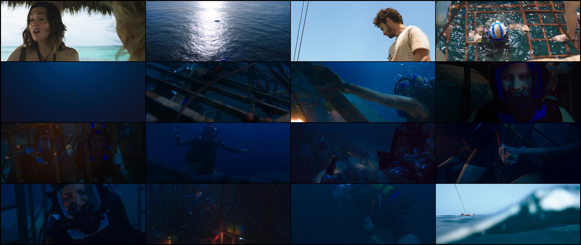 Download 47 Meters Down (2017) Movie Screenshots