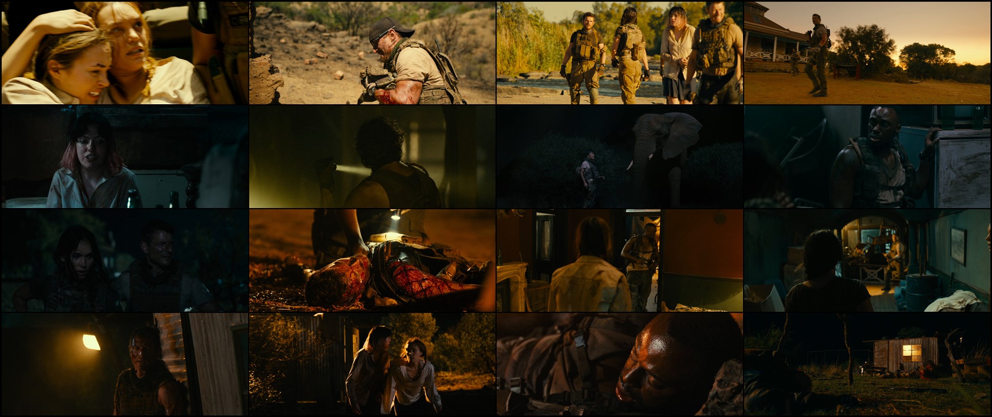 Download Rogue (2020) Movie Screenshots