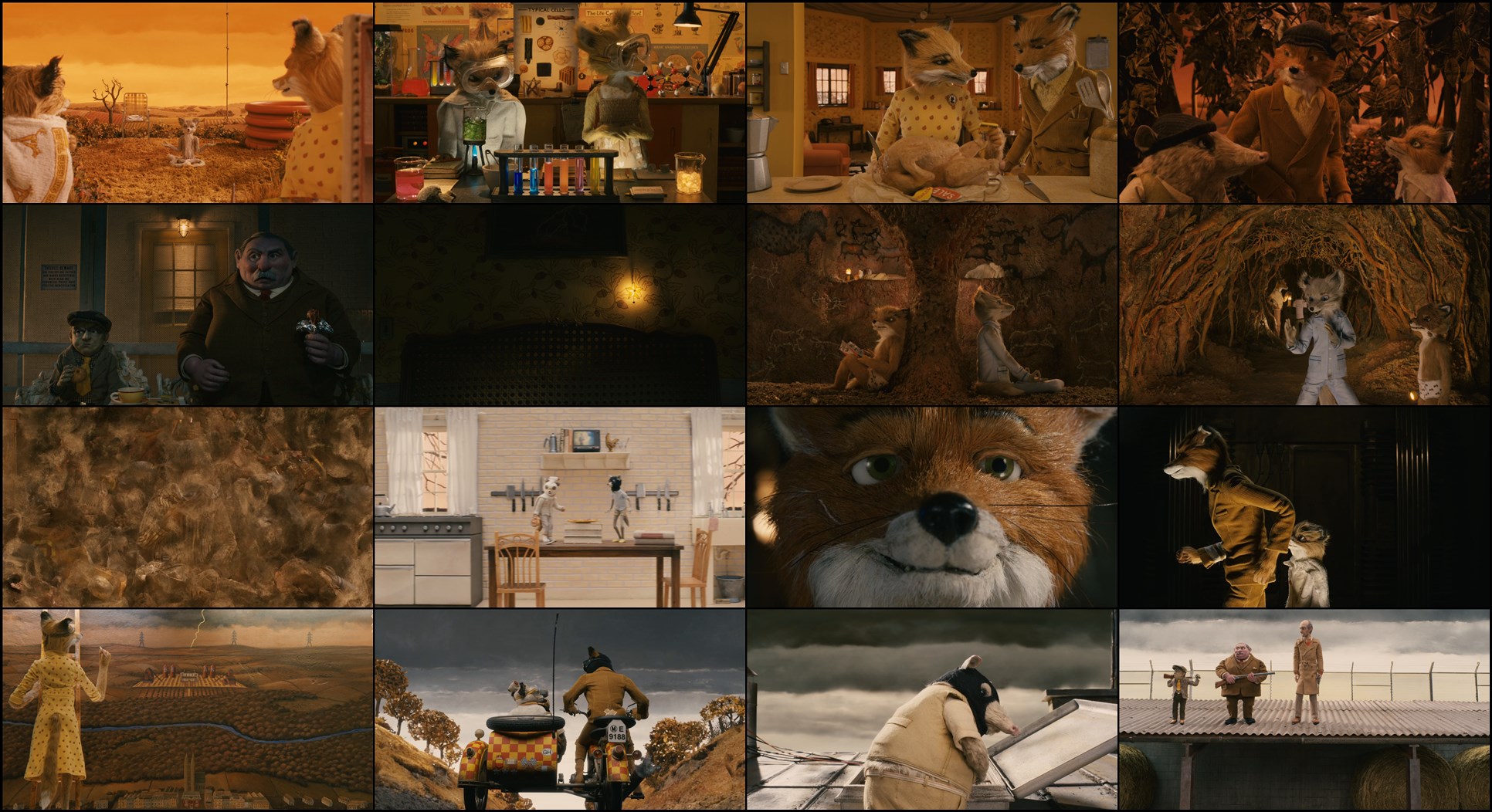 Download Fantastic Mr. Fox (2009) Movie Screenshots