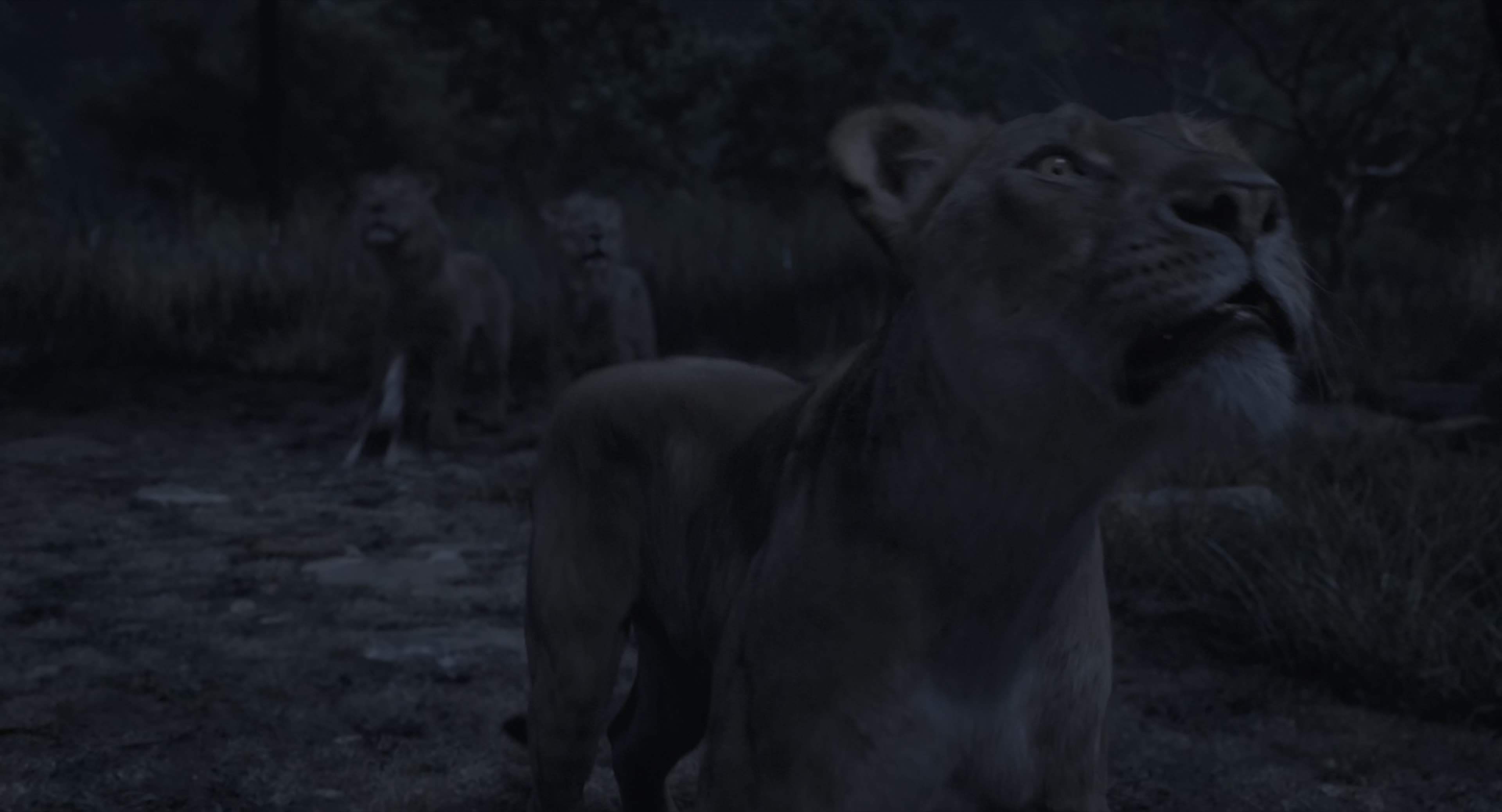 Download Mufasa: The Lion King (2024) Movie