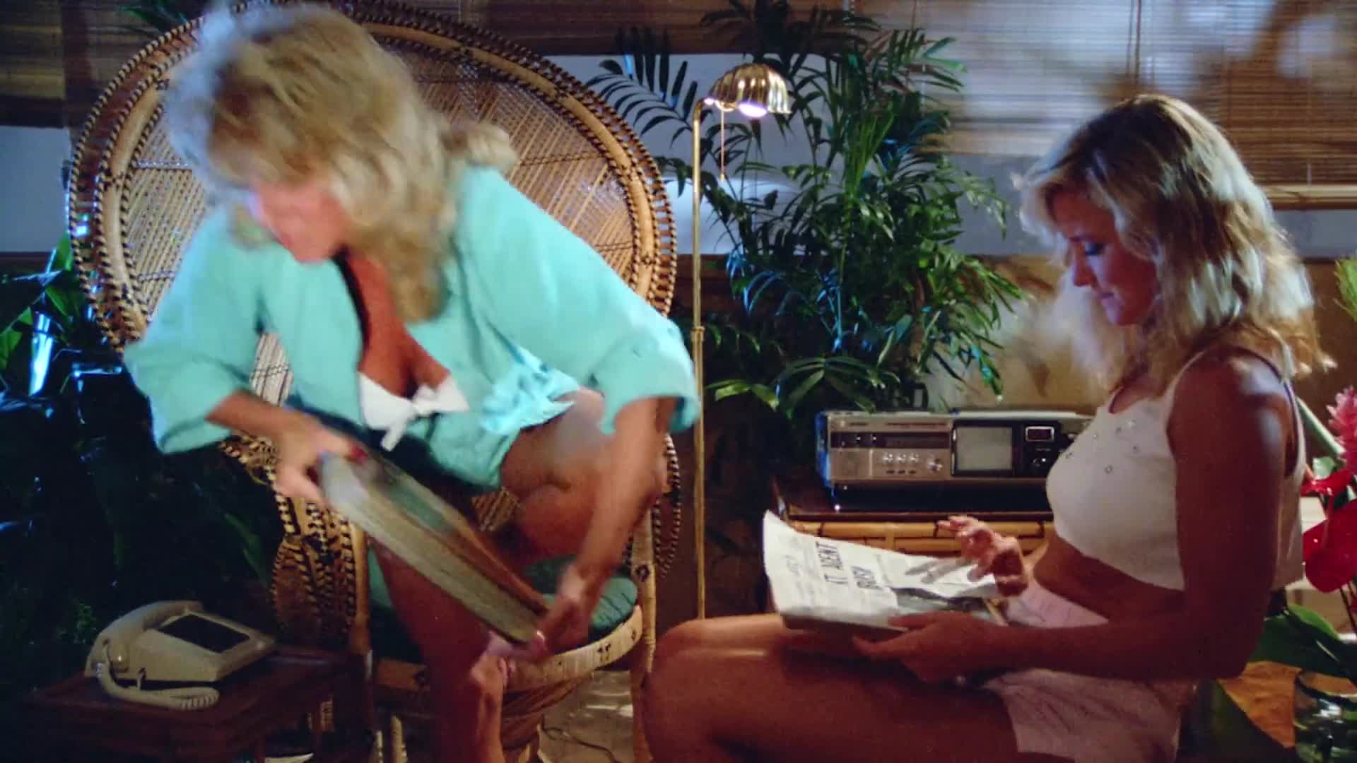 Download Hard Ticket to Hawaii (1987) Movie