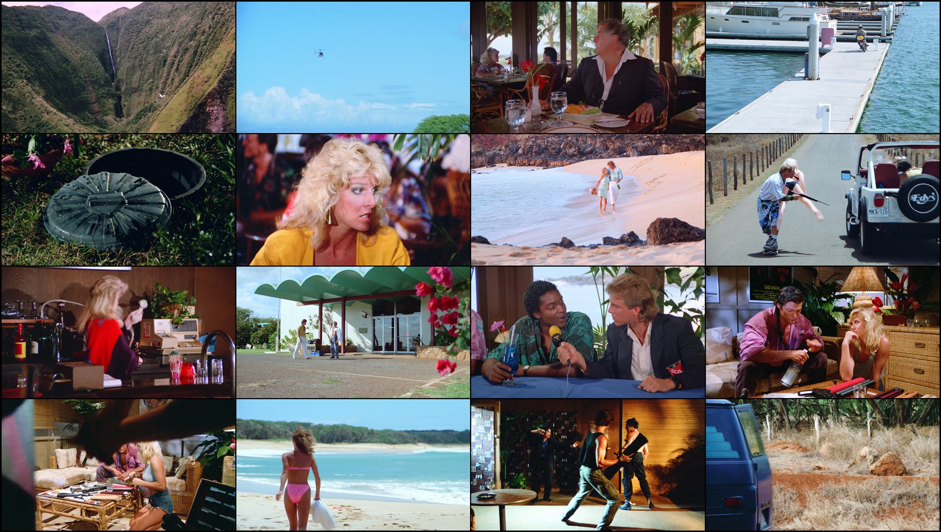 Download Hard Ticket to Hawaii (1987) Movie Screenshots