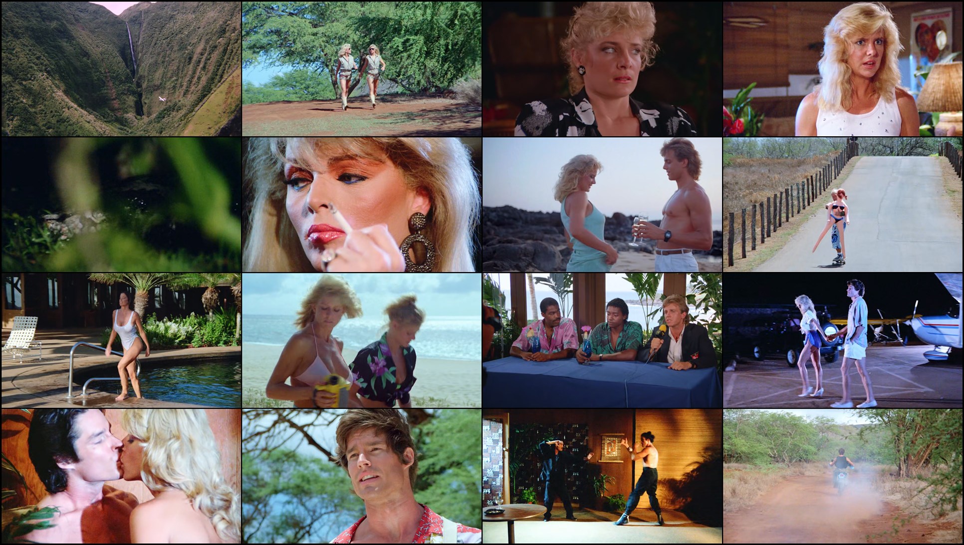 Download Hard Ticket to Hawaii (1987) Movie Screenshots