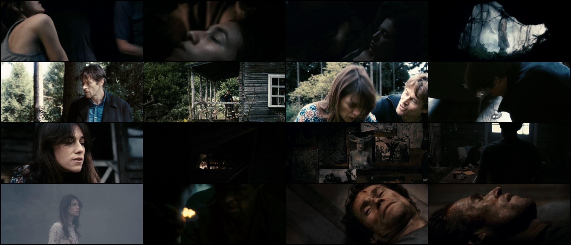 Download Antichrist (2009) Movie Screenshots