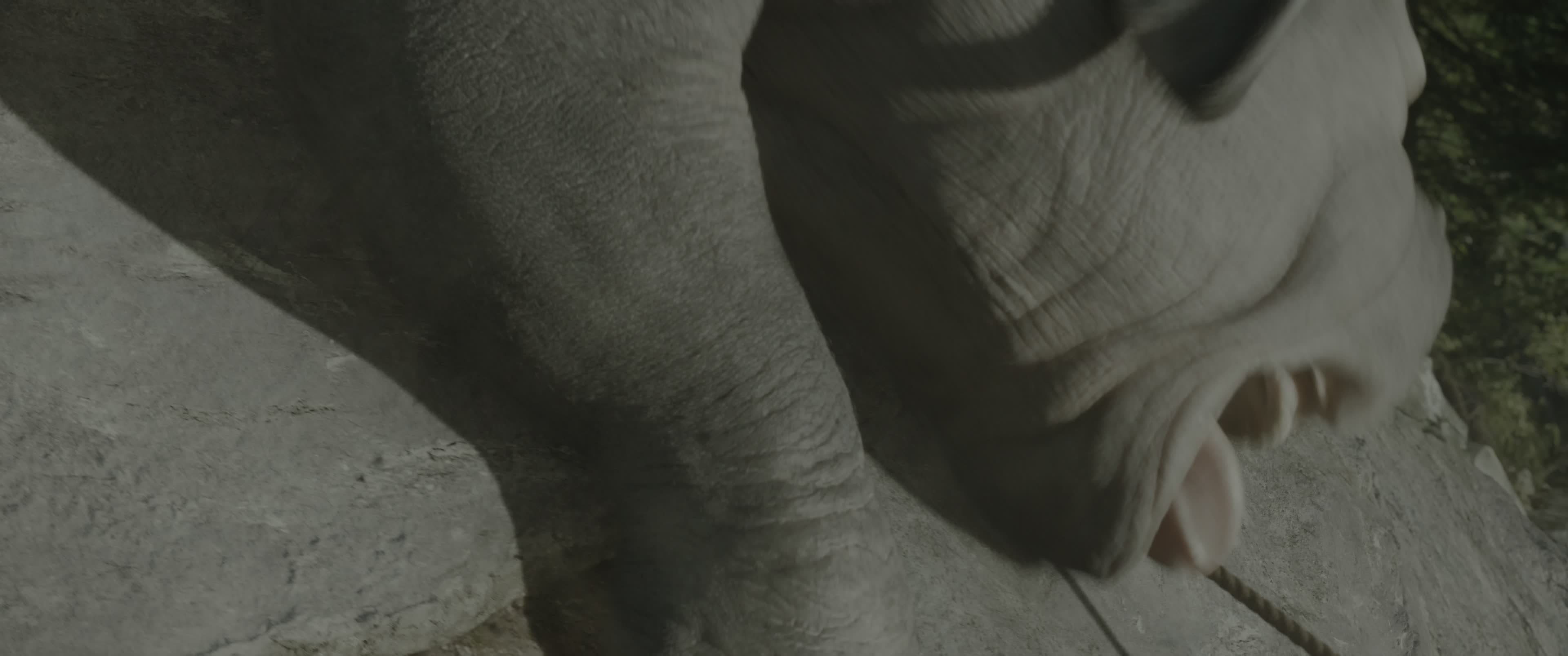 Download Okja (2017) Movie
