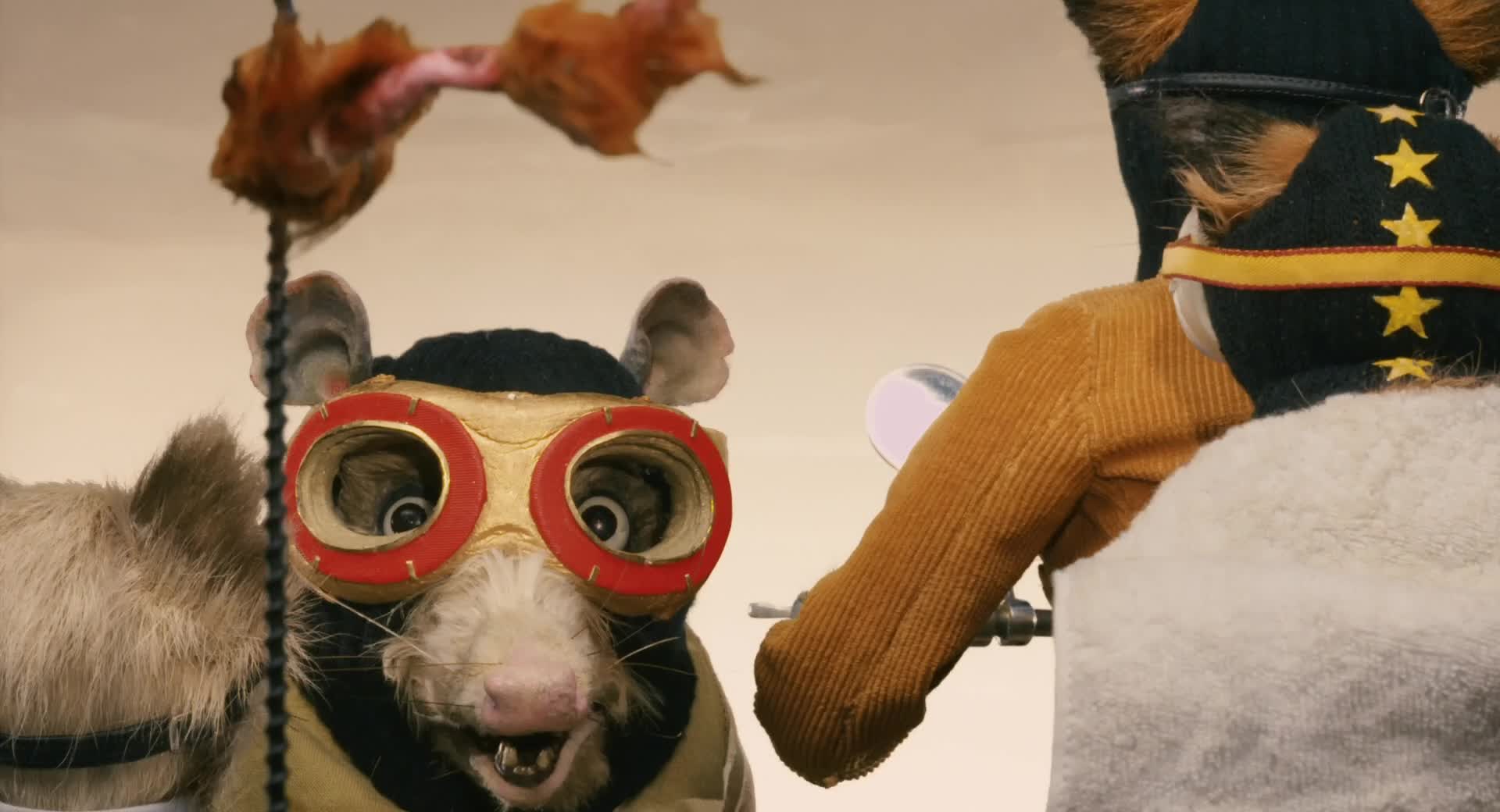 Download Fantastic Mr. Fox (2009) Movie