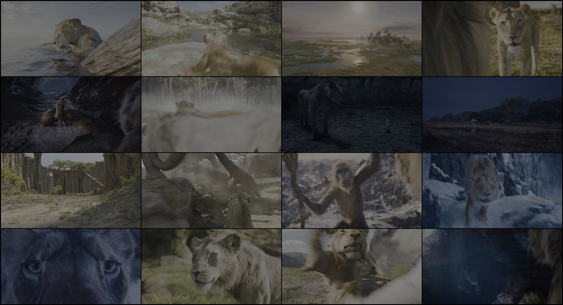Download Mufasa: The Lion King (2024) Movie Screenshots