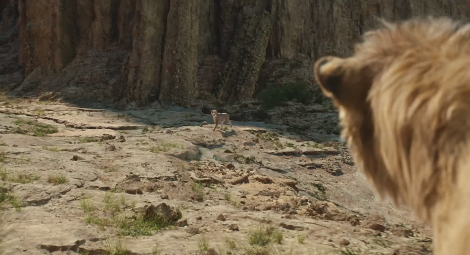 Download Mufasa: The Lion King (2024) Movie