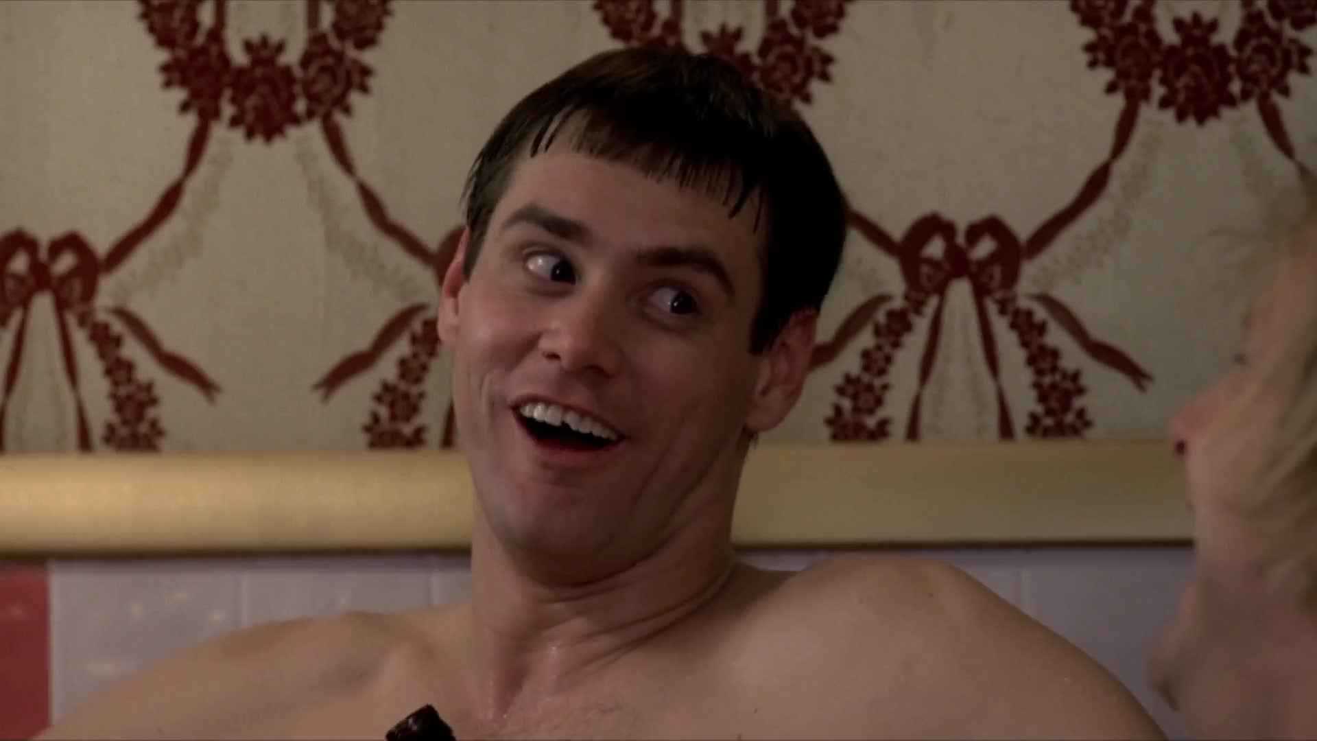 Download Dumb and Dumber (1994) Movie