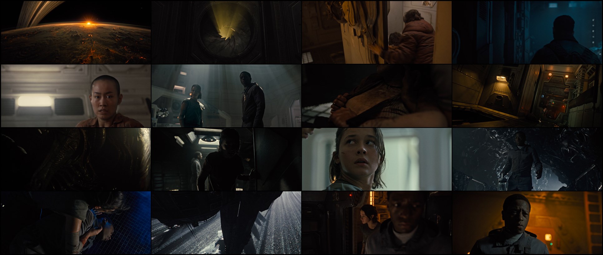 Download Alien: Romulus (2024) Movie Screenshots
