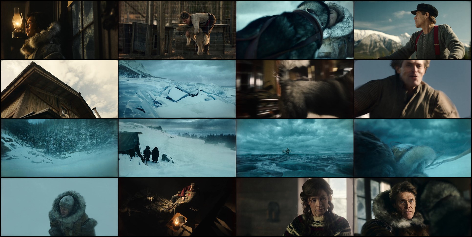 Download Togo (2019) Movie Screenshots