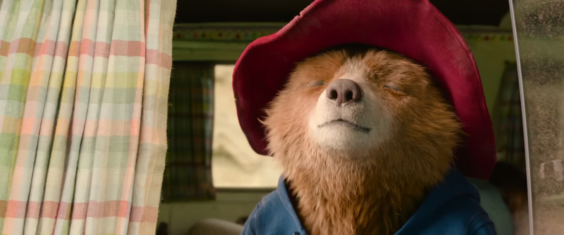 Download Paddington in Peru (2024) Movie