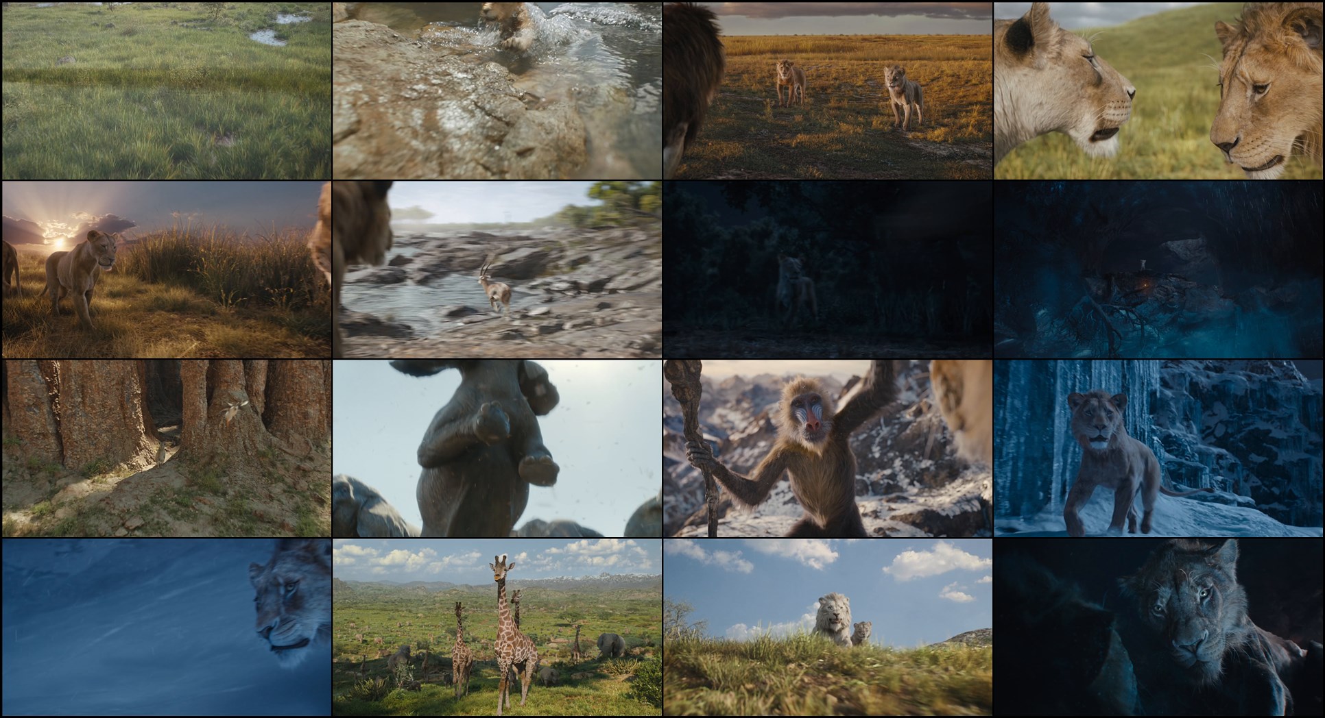 Download Mufasa: The Lion King (2024) Movie Screenshots