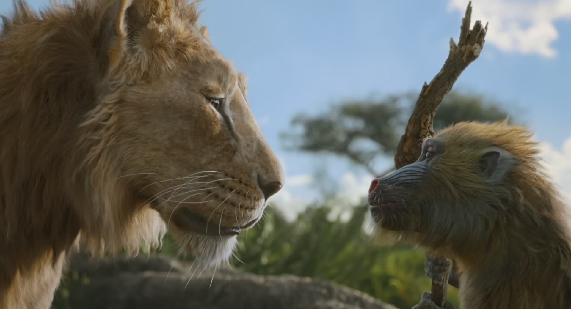 Download Mufasa: The Lion King (2024) Movie