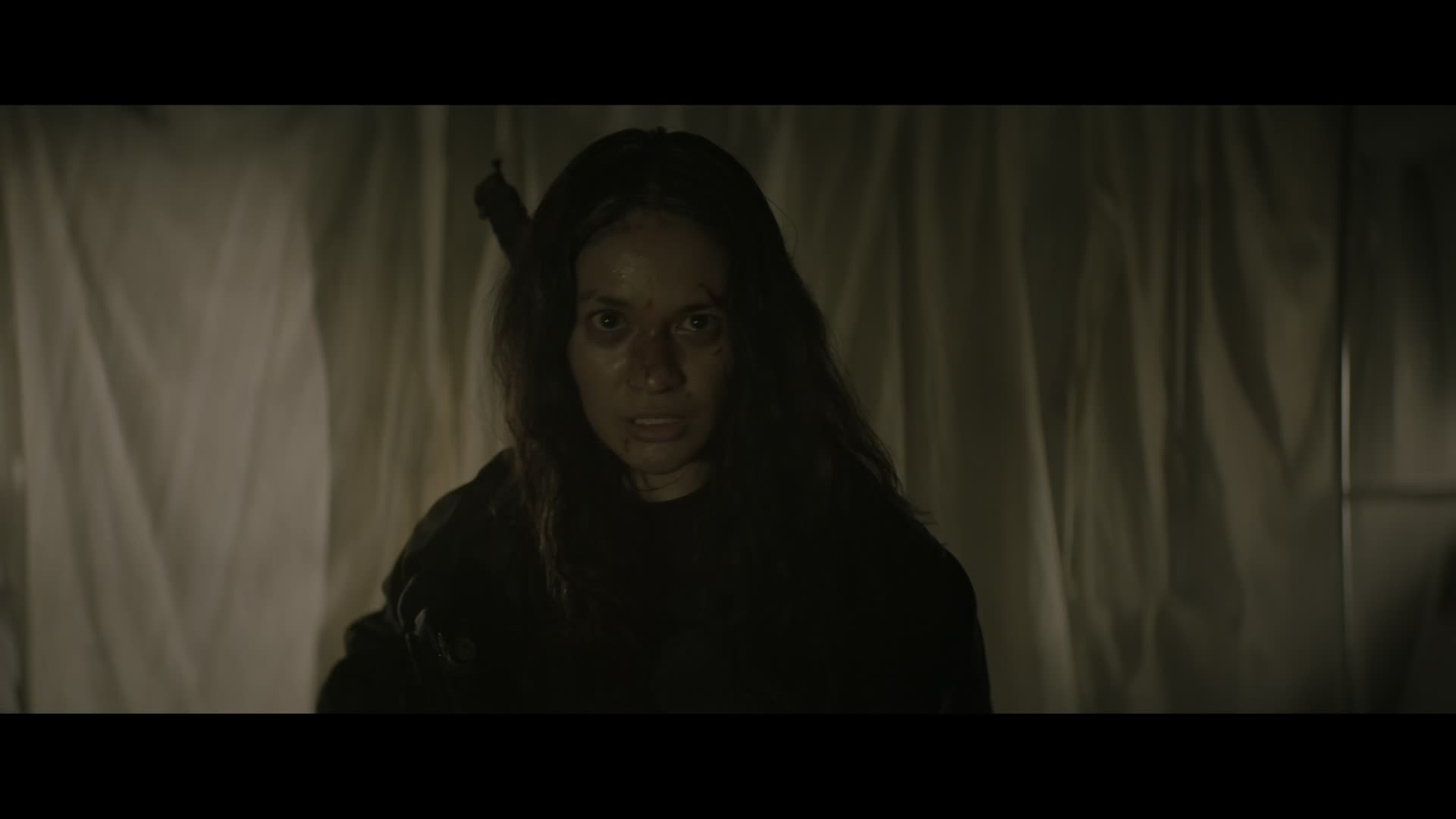 Download The Shadow Strays (2024) Movie