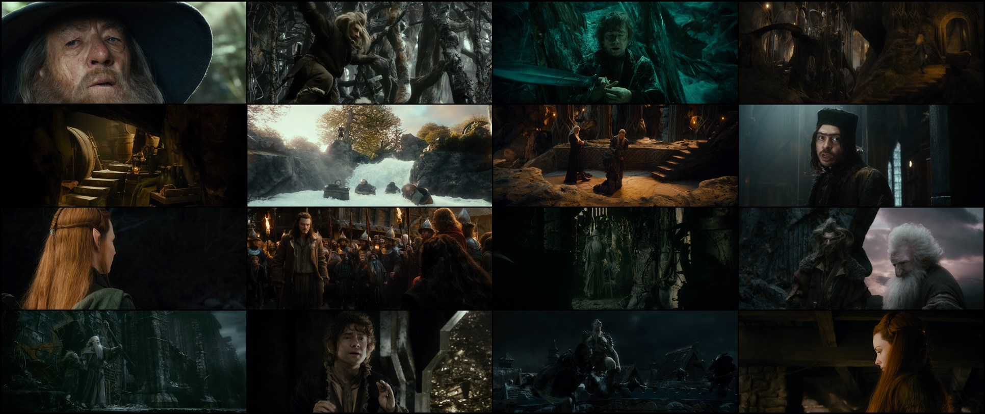 Download The Hobbit: The Desolation of Smaug (2013) HD Movie 480p [485MB] || 720p [1.37GB] || 1080p [2.45GB]