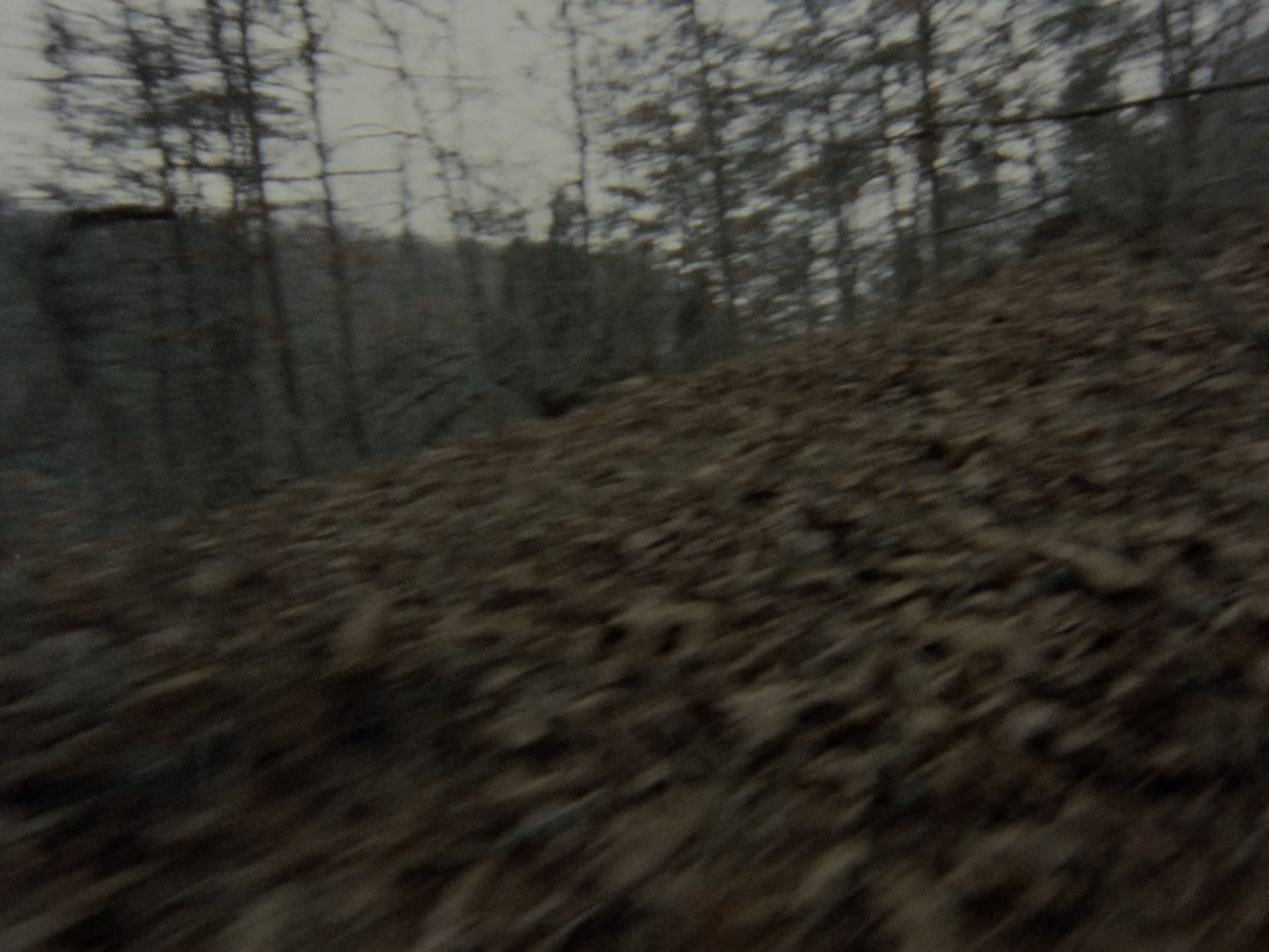Download The Evil Dead (1981) HD Movie 480p [320MB] || 720p [918MB] || 1080p [1.34GB]