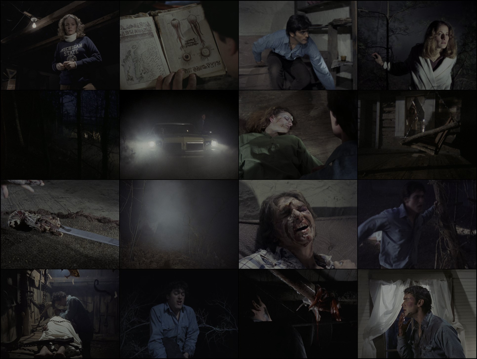 Download The Evil Dead (1981) HD Movie 480p [320MB] || 720p [918MB] || 1080p [1.34GB]