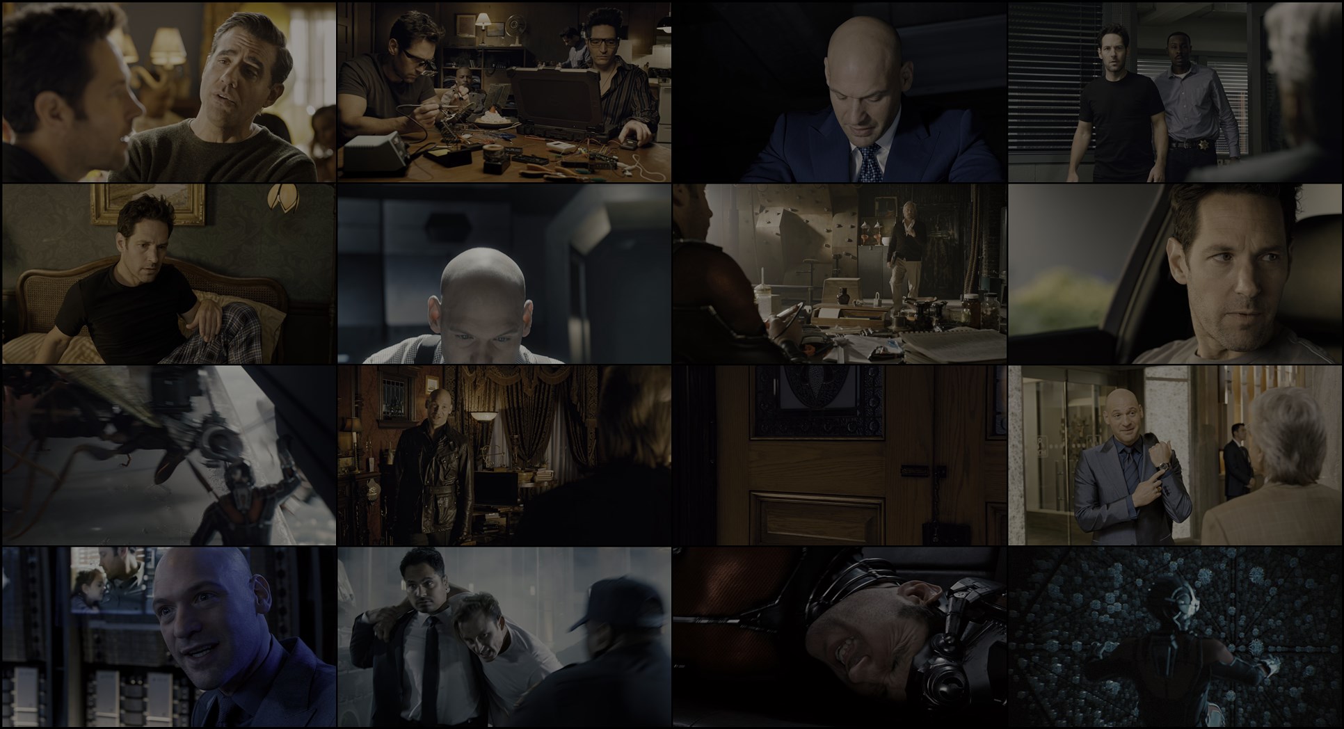 Download Ant-Man (2015) HD Movie 480p [381MB] || 720p [758MB] || 1080p [1.30GB]