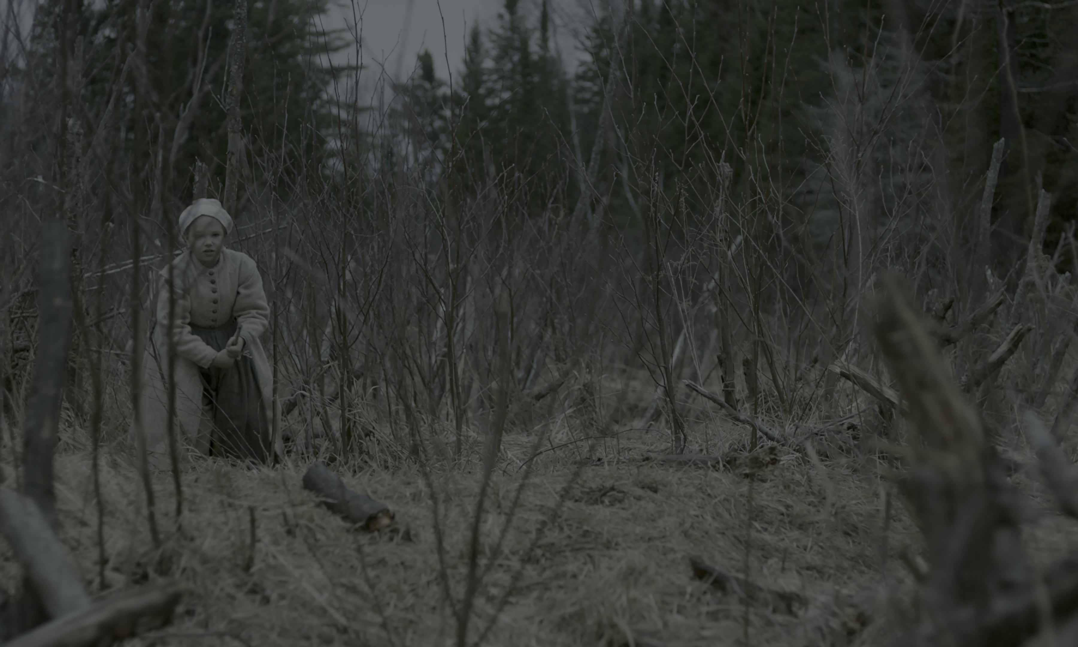 Download The Witch (2015) HD Movie 480p [318MB] || 720p [660MB] || 1080p [1.40GB]