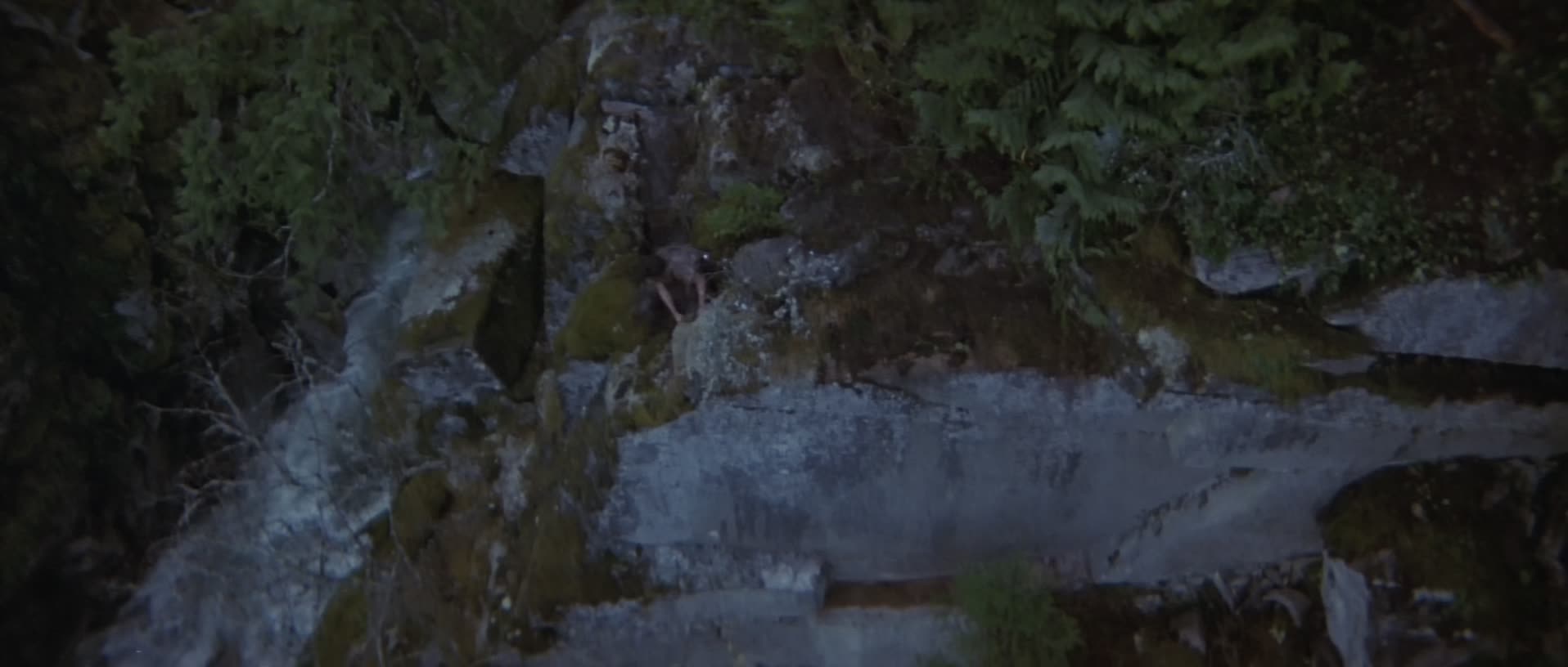 Download Rambo: First Blood Part II (1985) HD Movie 480p [290MB] || 720p [779MB] || 1080p [1.46GB]