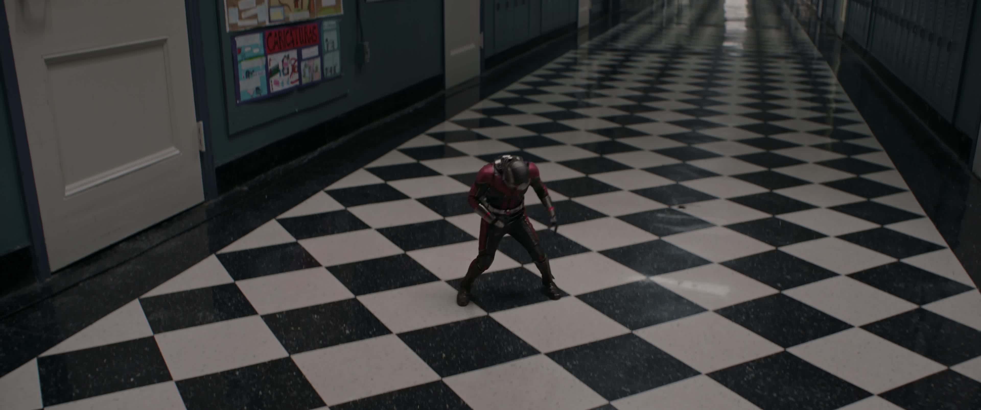 Download Ant-Man and the Wasp (2018) HD Movie 480p [483MB] || 720p [797MB] || 1080p [1.75GB]