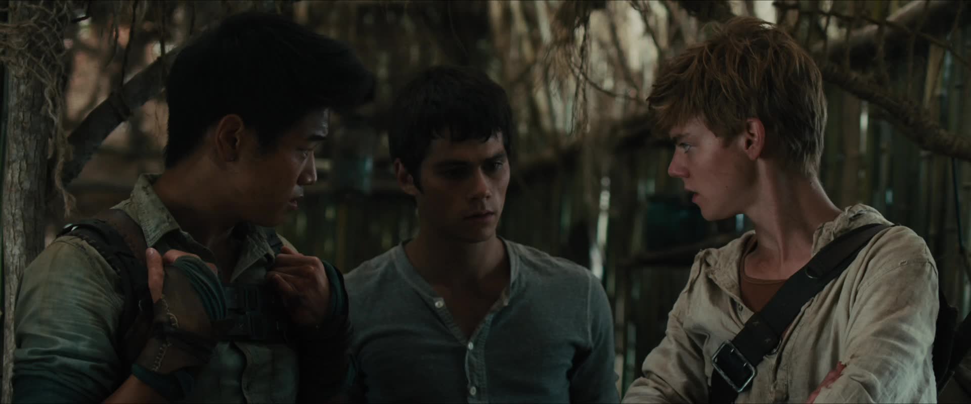 Download The Maze Runner (2014) HD Movie 480p [351MB] || 720p [818MB] || 1080p [1.77GB]