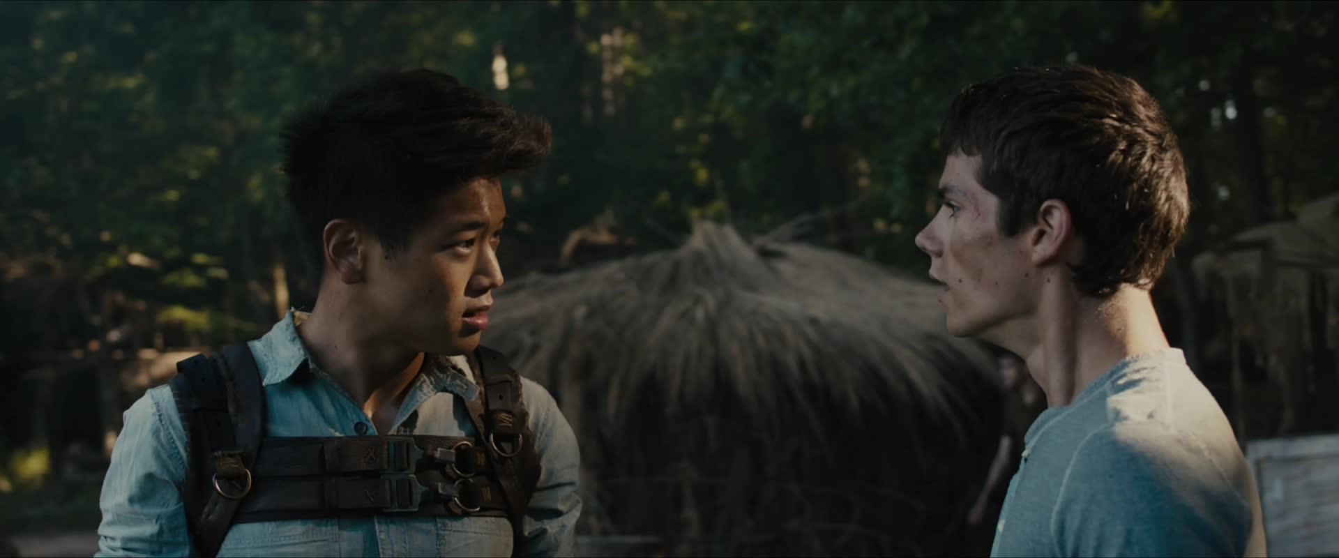Download The Maze Runner (2014) HD Movie 480p [351MB] || 720p [818MB] || 1080p [1.77GB]