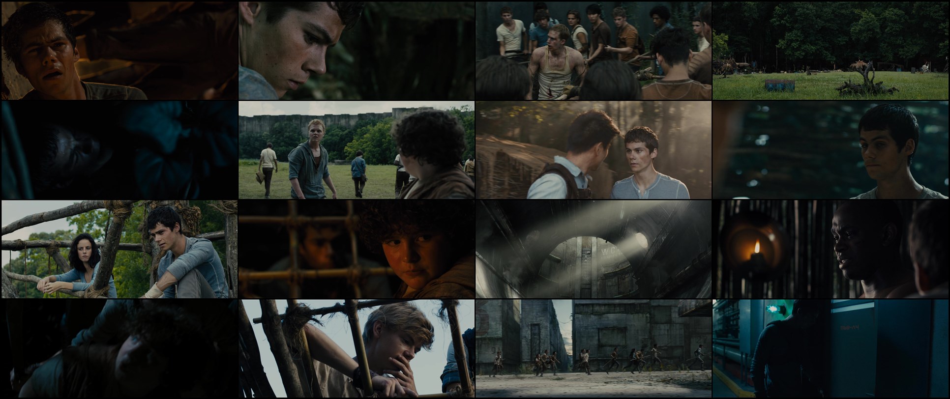 Download The Maze Runner (2014) HD Movie 480p [351MB] || 720p [818MB] || 1080p [1.77GB]