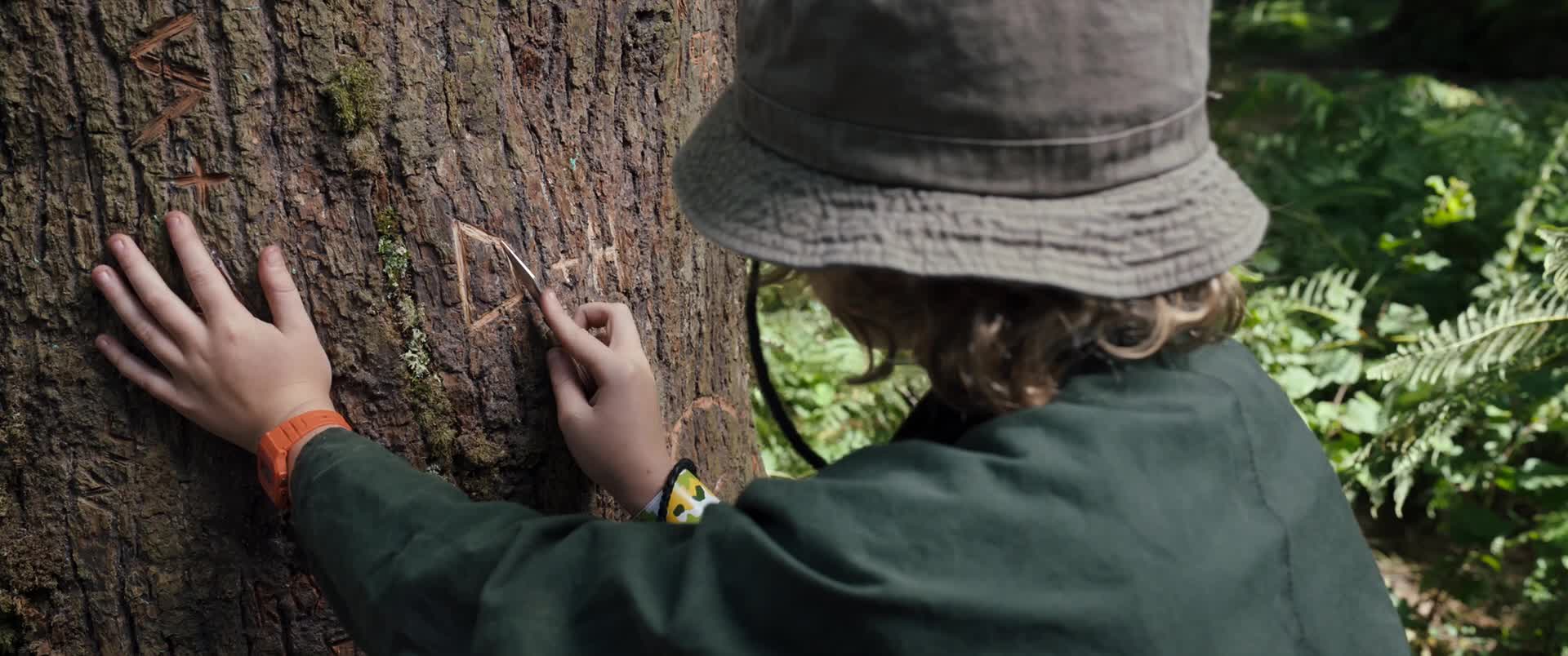 Download Cocaine Bear (2023) HD Movie 480p [409MB] || 720p [592MB] || 1080p [1.49GB]