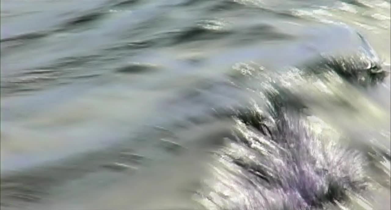 Download Open Water (2003) HD Movie 480p [267MB] || 720p [642MB] || 1080p [1.45GB]