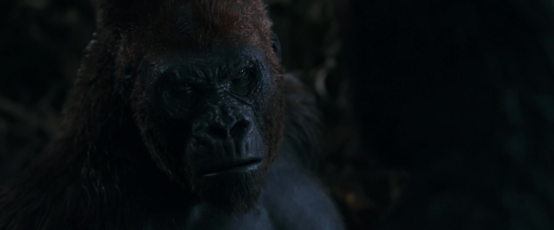 Download War for the Planet of the Apes (2017) HD Movie 480p [372MB] || 720p [1.13GB] || 1080p [2.04GB]