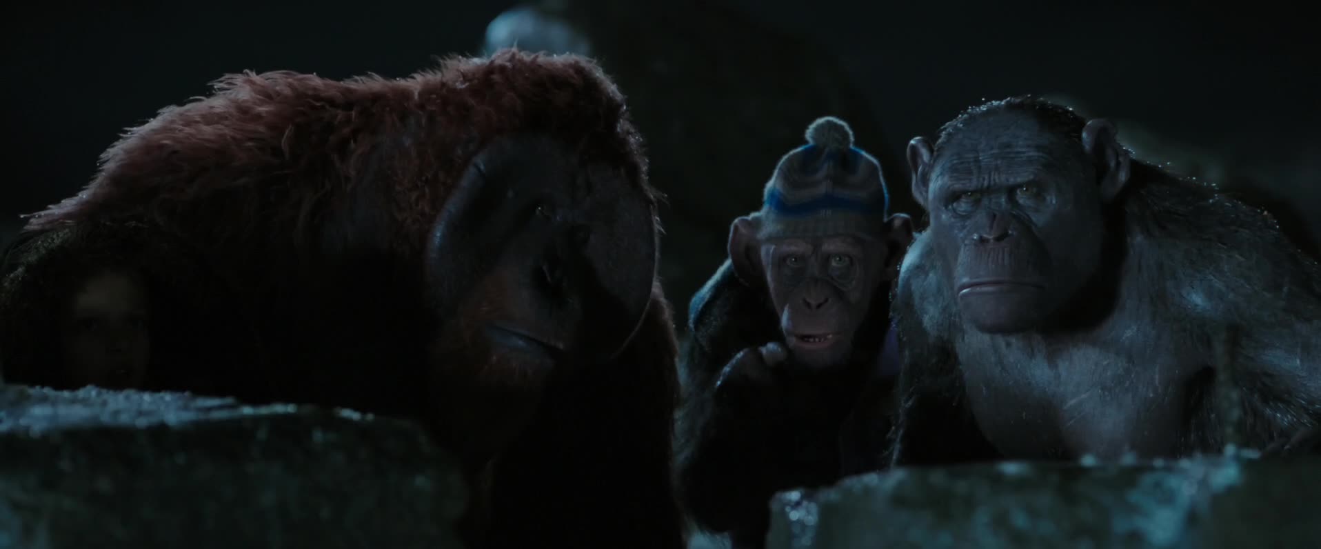 Download War for the Planet of the Apes (2017) HD Movie 480p [372MB] || 720p [1.13GB] || 1080p [2.04GB]