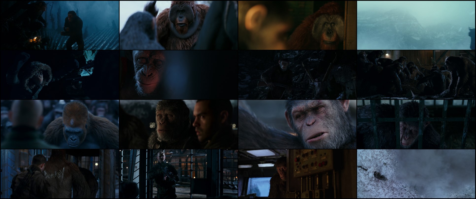 Download War for the Planet of the Apes (2017) HD Movie 480p [372MB] || 720p [1.13GB] || 1080p [2.04GB]