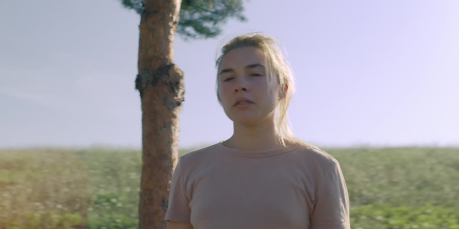 Download Midsommar (2019) HD Movie 480p [546MB] || 720p [896MB] || 1080p [2.07GB]