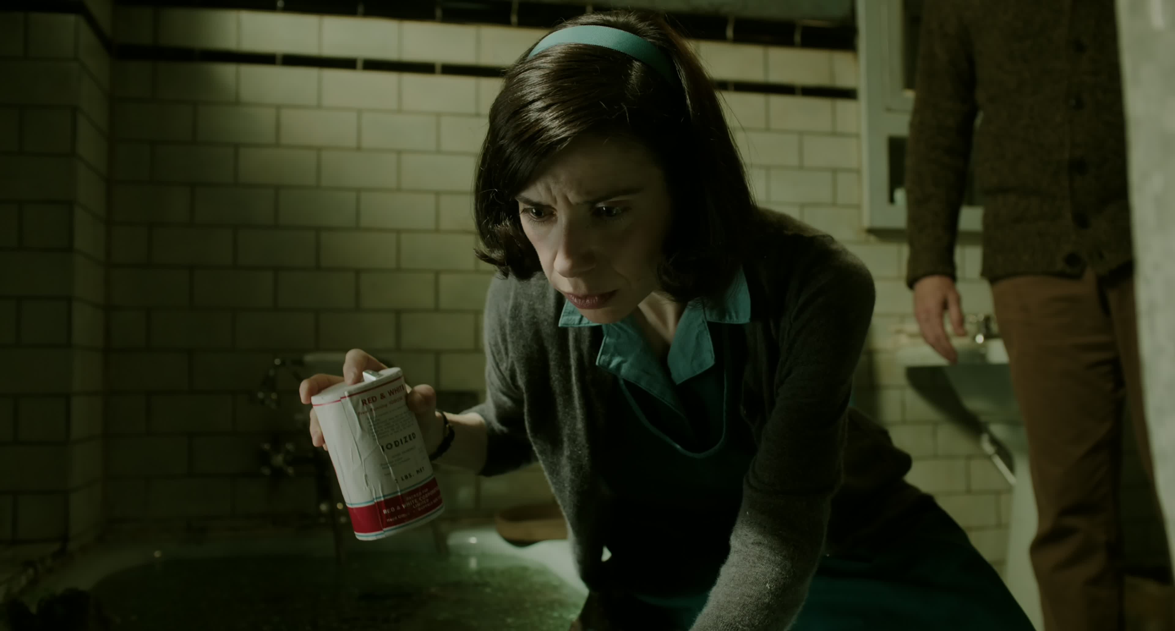 Download The Shape of Water (2017) HD Movie 480p [429MB] || 720p [1.12GB] || 1080p [1.92GB]