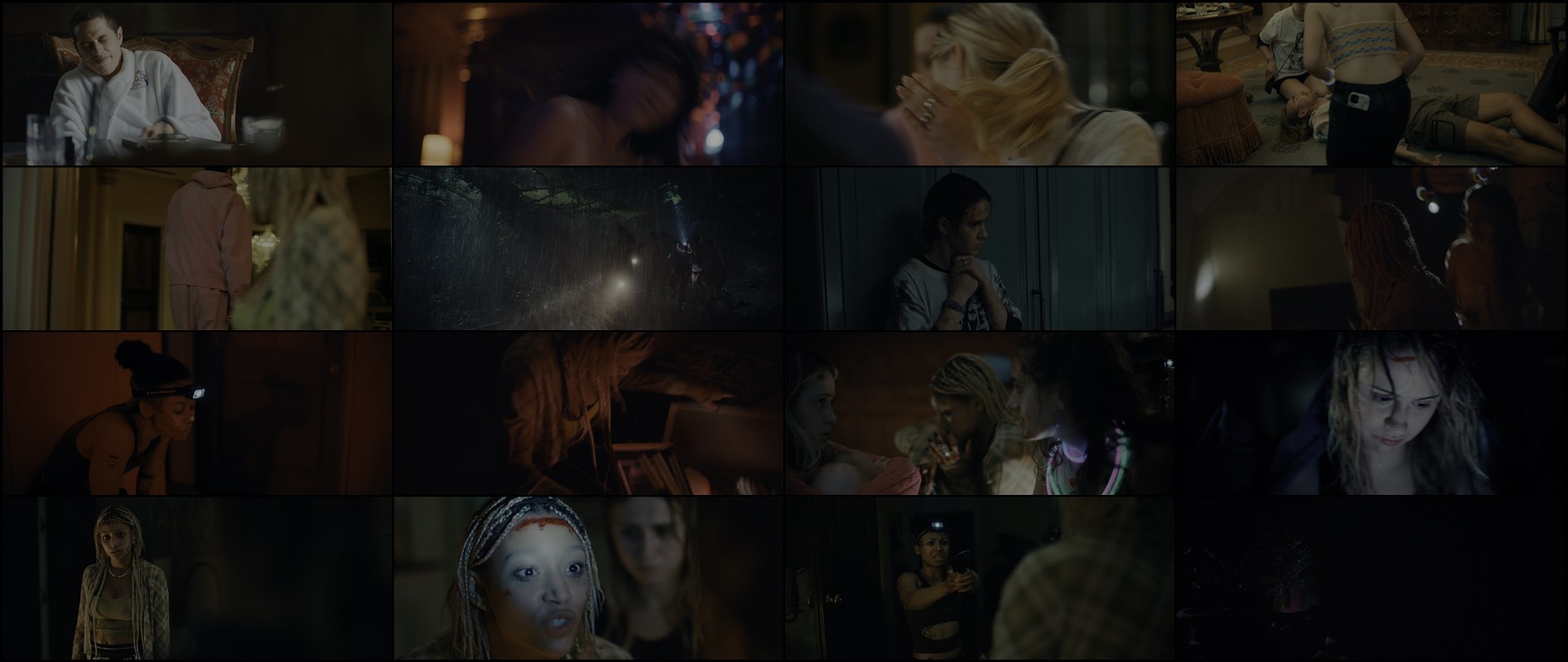 Download Bodies Bodies Bodies (2022) HD Movie 480p [252MB] || 720p [634MB] || 1080p [1.46GB]